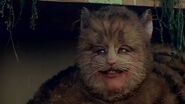 The Cheshire Cat Alice's Adventures in Wonderland (1972)