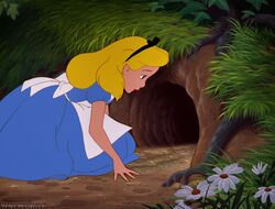 Rabbit Hole Alice In Wonderland Wiki Fandom