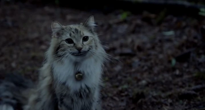 El Gato de Cheshire | Alicia en el País de las Maravillas Wiki | Fandom, image size:720x387