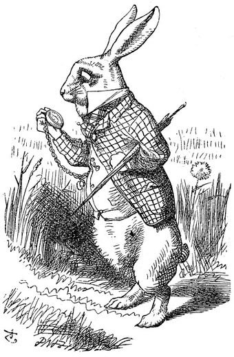 The White Rabbit Alice In Wonderland Wiki Fandom