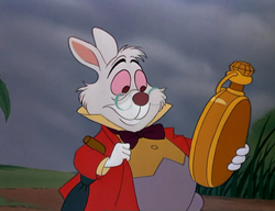 1951-Rabbit