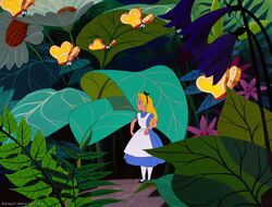 Bread And Butterfly Alice In Wonderland Wiki Fandom Bread And Butterfly Alice In Wonderland Wiki Fandom