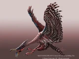 Jubjub Bird