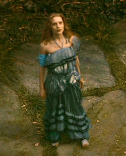 Alice's wardrobe | Alice in Wonderland Wiki | Fandom