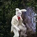 El Conejo Blanco en la película de 1985
