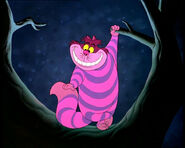 The Cheshire Cat Alice in Wonderland (1951)