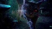 The Cheshire Cat Once Upon a Time in Wonderland