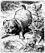 Tenniel-Dog