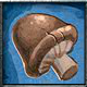 Mushroom.png