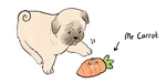 Henry Nelson with his a toy carrot.