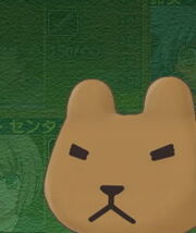 クマ.jpg