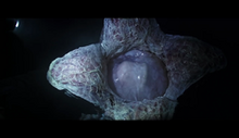 Covenant trailer egg (2)