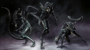 Xenomorph-20421533844906i93m2uap4z