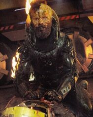 Fifield-mutant