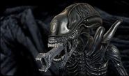 Szóstka jako skin do gry multiplayer AvP 3