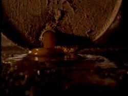 Quin-Alien3