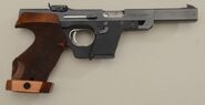 Walther GSP