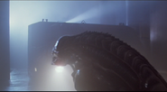 Aliens-alien-about-to-be-run-over-by-Ripley-in-APC.png (153 KB)