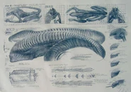 Giger's concepts for an "errotic" alien for Alien 3