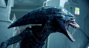 ProtoAlien.jpg