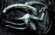 H.R. Giger - Necronom IV