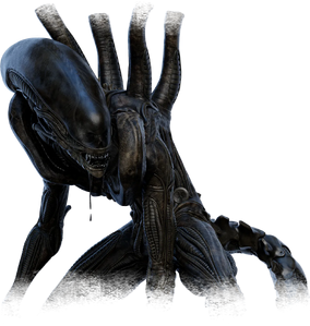 Xenomorph - Alien: Isolation Wiki