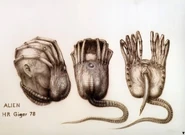 A later concept of the facehugger