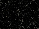 Asteroid Field