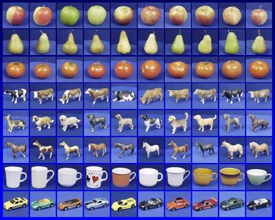 Categories