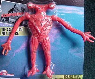 Amphiboid.jpg