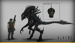 Art-красивые-картинки-Xenomorph-концепт-1021815