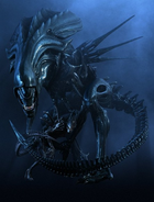 Xenomorph Queen.png (219 KB) Xenomorph Queen and a Drone.