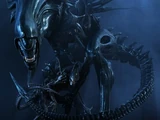 Xenomorph Queen