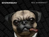 Frank the Pug
