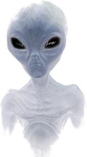 Grey Alien5