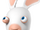 Rabbids