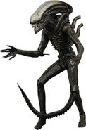The Alien.jpg (143 KB) NECA action figure of the Alien.