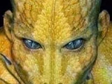 Allgruulk