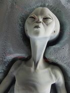 A Roswell gliese grey