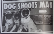 Section from The Weekly World News about aliens disguised as pugs.