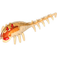 Orange Brain.jpg (18 KB)