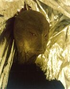 The alleged Reed Case alien, which has been proven to be a hoax.