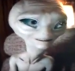 Paul1.png