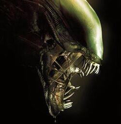 エイリアン Aliens - Series 12 - Battle Damaged Aliens Warrior 7