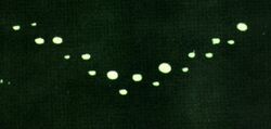 Lubbock Lights