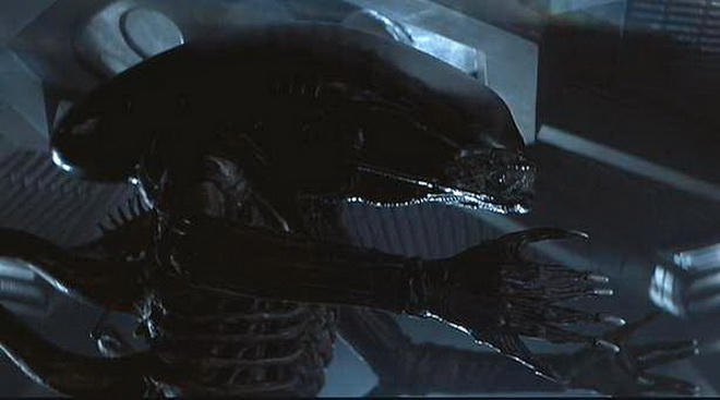 Xenomorph