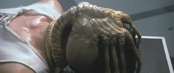 Alien-The Facehugger