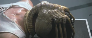 Alien-The Facehugger
