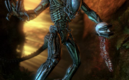 343px-Predalien removing spine-1-