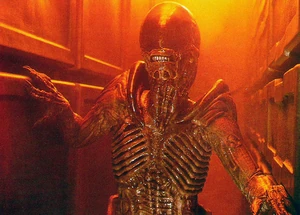 Dogalienfilm3